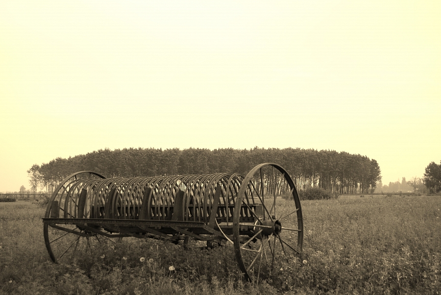 Gli attrezzi per il lavoro dei campi