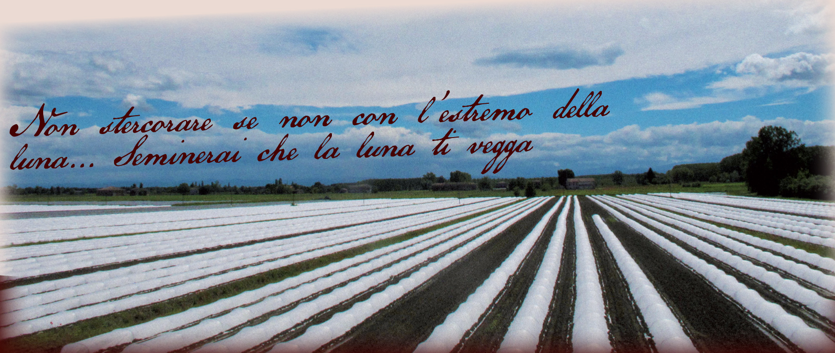 Il ciclo del tempo e i tempi di lavoro