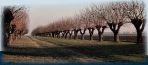 Un territorio fra terra e acqua